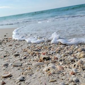 Meet your Posher, Roddy